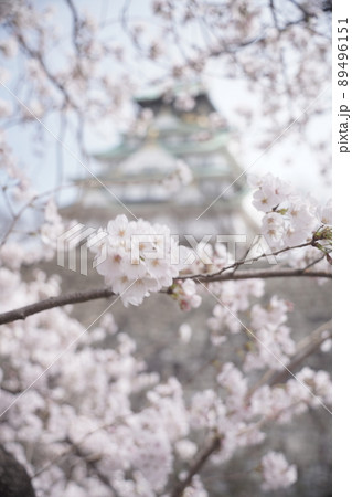 桜咲く大阪城 89496151