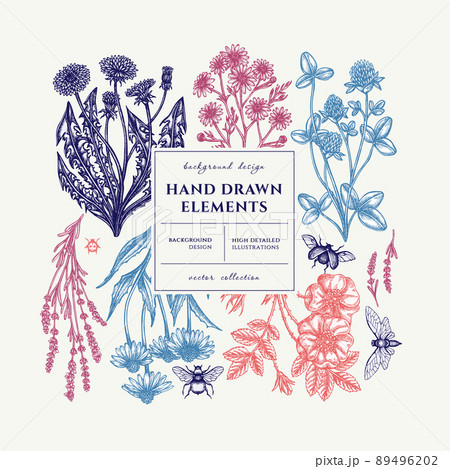 Tea herbs square card or invitation design. Frame design with chamomile, cinnamon rose, etc. 89496202