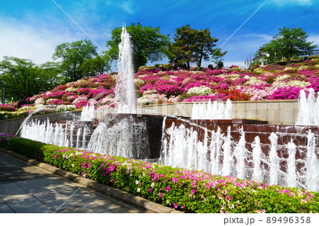 西山公園　つつじ　日本の歴史公園100選 89496358