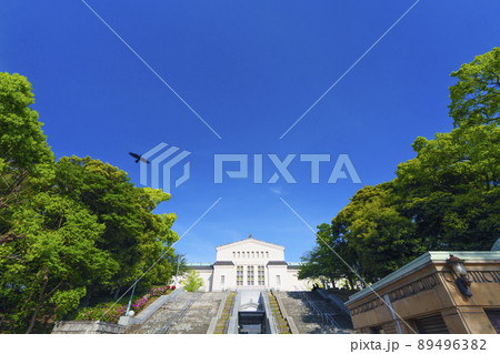 大阪市立美術館正面入口　天王寺公園　連絡橋（2022年初夏） 89496382