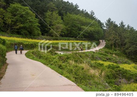 莞島郡 風景 観光地 89496405