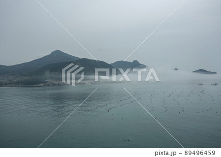 莞島郡 風景 島 89496459