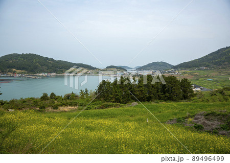 莞島郡 風景 景色 89496499