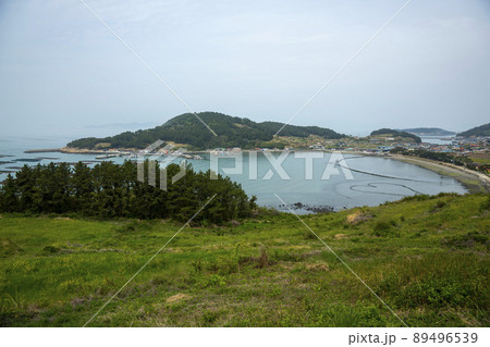 莞島郡 風景 景色 89496539