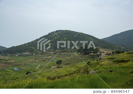 莞島郡 風景 景色 89496547