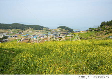 莞島郡 風景 景色 89496575