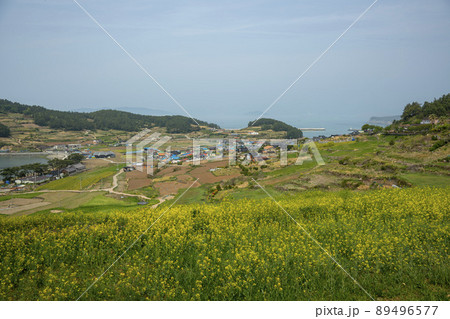 莞島郡 風景 景色 89496577