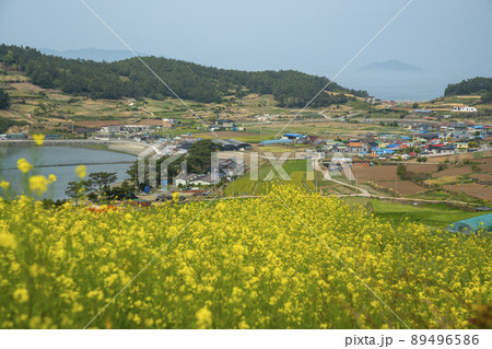 莞島郡 風景 景色 89496586