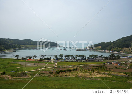 莞島郡 風景 景色 89496596