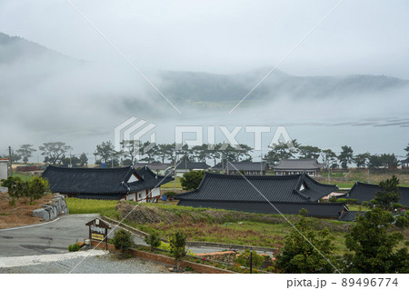 風景 霧 海 89496774