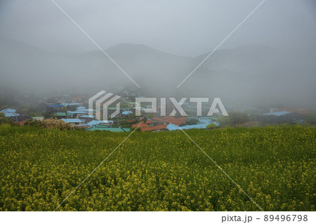 莞島郡 風景 景色 89496798