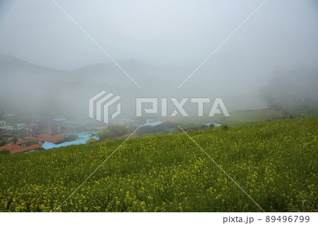 莞島郡 風景 景色 89496799