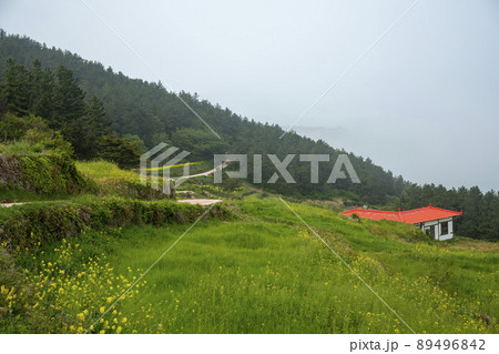 莞島郡 風景 景色 89496842