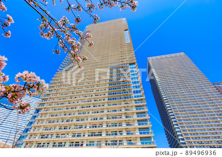 東京 中央区晴海の都市風景 晴海埠頭のタワーマンション 東京 中央区晴海の都市風景 晴海埠頭のタワーマンション 89496936