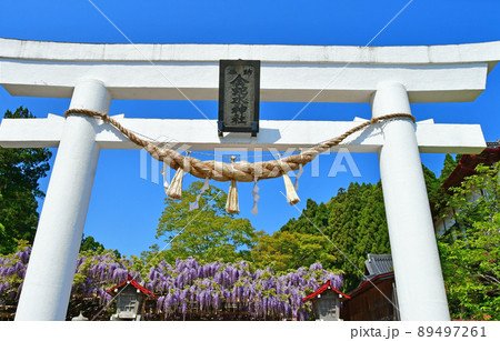 宮城県 岩沼市 金蛇水神社 九龍の藤 宮城県 岩沼市 金蛇水神社 九龍の藤 89497261