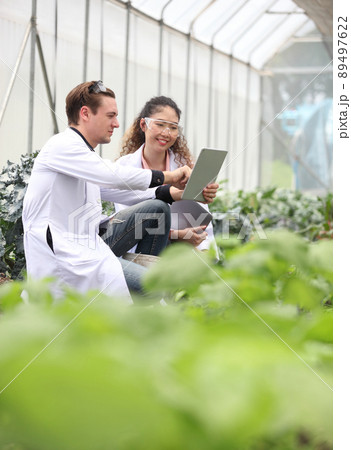 Agricultural Engineers Test Plants Health and Analyze Data with Tablet Computer. Biotechnology  engineer examining plant leaf for disease 89497622