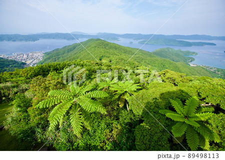 【奄美大島】高知山展望台 89498113
