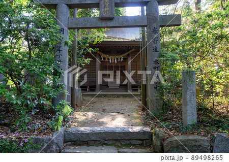 《福岡県》新緑の筑紫（ちくし）神社 筑紫野市 89498265