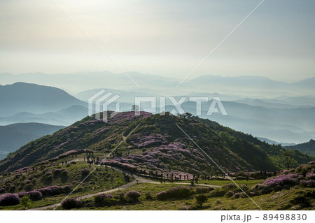 風景 山 ツツジ 89498830