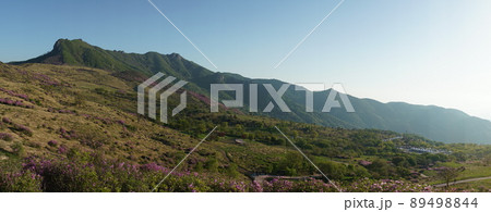 風景 山 ツツジ 89498844