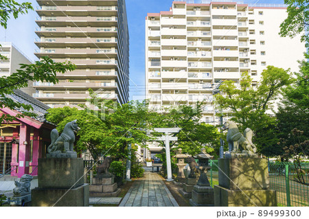 土佐稲荷神社　境内（大阪市西区北堀江）2022年初夏 89499300