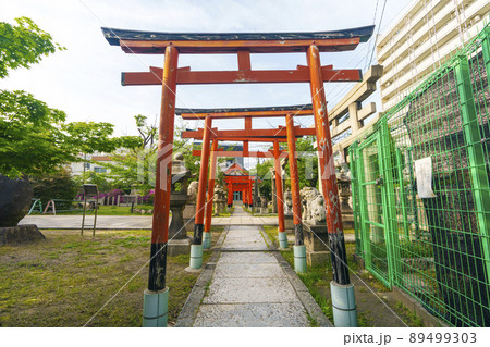 土佐稲荷神社　境内（大阪市西区北堀江）2022年初夏 89499303