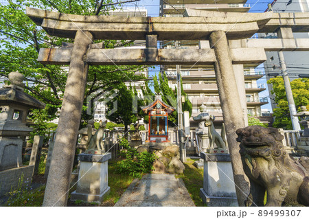 土佐稲荷神社 境内(大阪市西区北堀江)2022年初夏 土佐稲荷神社 境内(大阪市西区北堀江)2022年初夏 89499307