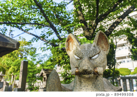 土佐稲荷神社 境内(大阪市西区北堀江)2022年初夏 土佐稲荷神社 境内(大阪市西区北堀江)2022年初夏 89499308