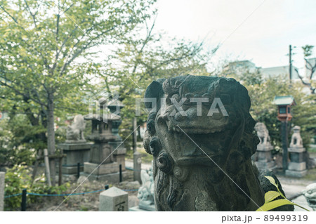 土佐稲荷神社　境内（大阪市西区北堀江）2022年初夏 89499319