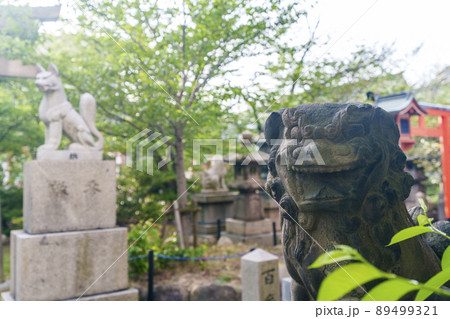 土佐稲荷神社 境内(大阪市西区北堀江)2022年初夏 土佐稲荷神社 境内(大阪市西区北堀江)2022年初夏 89499321