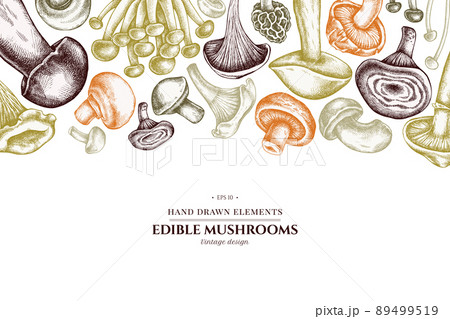 Design with pastel colored oyster mushroom, champignon, honey agaric, etc. 89499519
