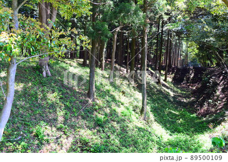 諏訪原城　続日本100名城 89500109