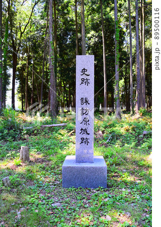 諏訪原城　続日本100名城 89500116