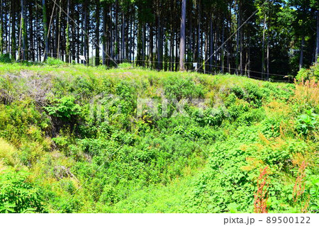 諏訪原城　続日本100名城 89500122