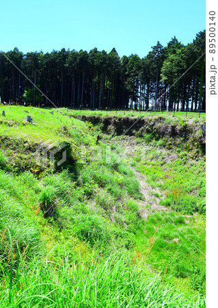 諏訪原城　続日本100名城 89500140