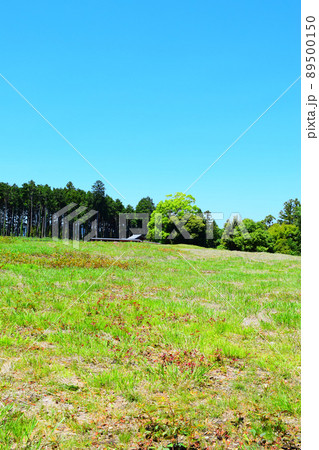 諏訪原城　続日本100名城 89500150