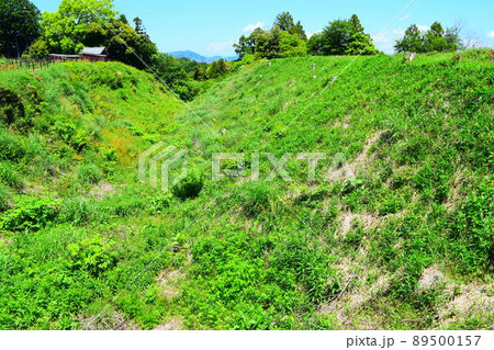 諏訪原城　続日本100名城 89500157