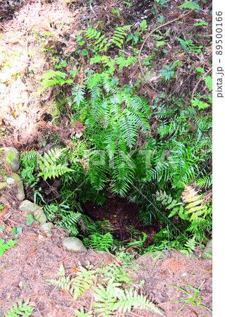 諏訪原城　続日本100名城 89500166