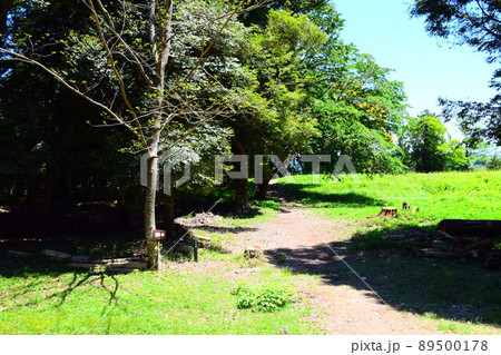 諏訪原城　続日本100名城 89500178