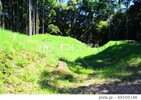 諏訪原城　続日本100名城 89500186