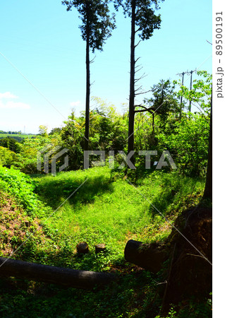 諏訪原城　続日本100名城 89500191