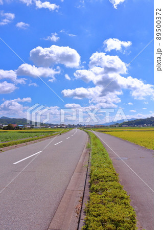 《兵庫県》丹波篠山市田園風景、川北地区から篠山城跡方面を望む 89500372