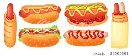 Cartoon hotdog. French hot dog, street food with sausage, sause and sesame seeds bun vector illustration set 89500591