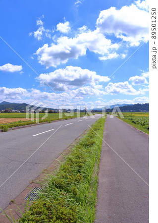 《兵庫県》丹波篠山市田園風景、川北地区から篠山城跡方面を望む 89501250