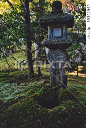 超広角レンズで撮影した森の中の神社#6 89501949