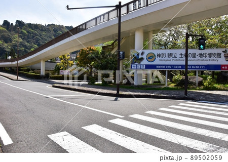小田原市 神奈川県立生命の星・地球博物館連絡通路と山並み 小田原市 神奈川県立生命の星・地球博物館連絡通路と山並み 89502059