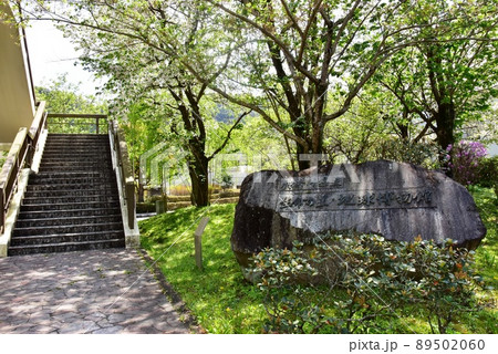 小田原市 神奈川県立生命の星・地球博物館連絡通路入口階段と博物館石碑 小田原市 神奈川県立生命の星・地球博物館連絡通路入口階段と博物館石碑 89502060
