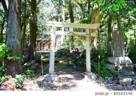 諏訪原城　日本100名城 89503546