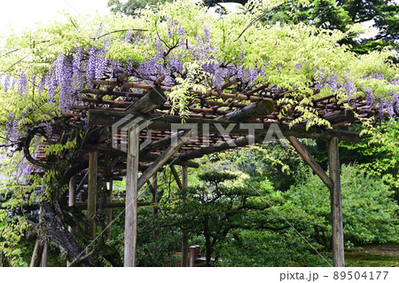 金沢・兼六園 89504177