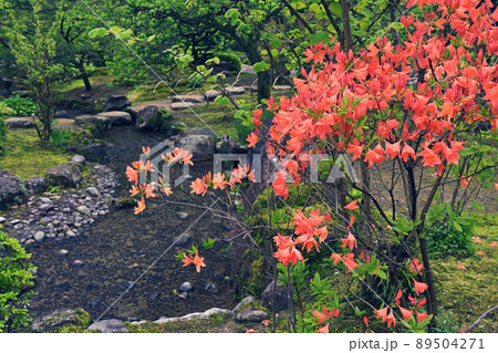金沢・兼六園 89504271
